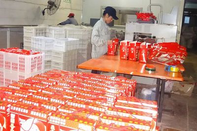 首批省示范！沛縣這5家農業產業化聯合體表現搶眼，資金證明助力發展