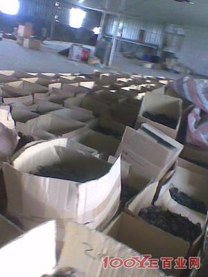 惠州專業二手設備回收 高價收購，信譽保障